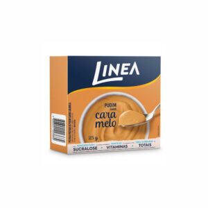 PUDIN DE CARAMELO 24X25G 410272038