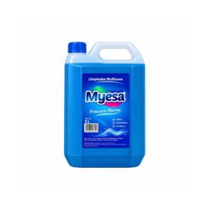 LIMPIA VIDRIOS X5LTS MYESA